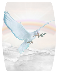 DAREC 116 D WT Dove Clouds White